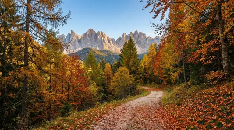 Sentiero in mezzo al bosco autunnale con alberi colorati e montagne sullo sfondo